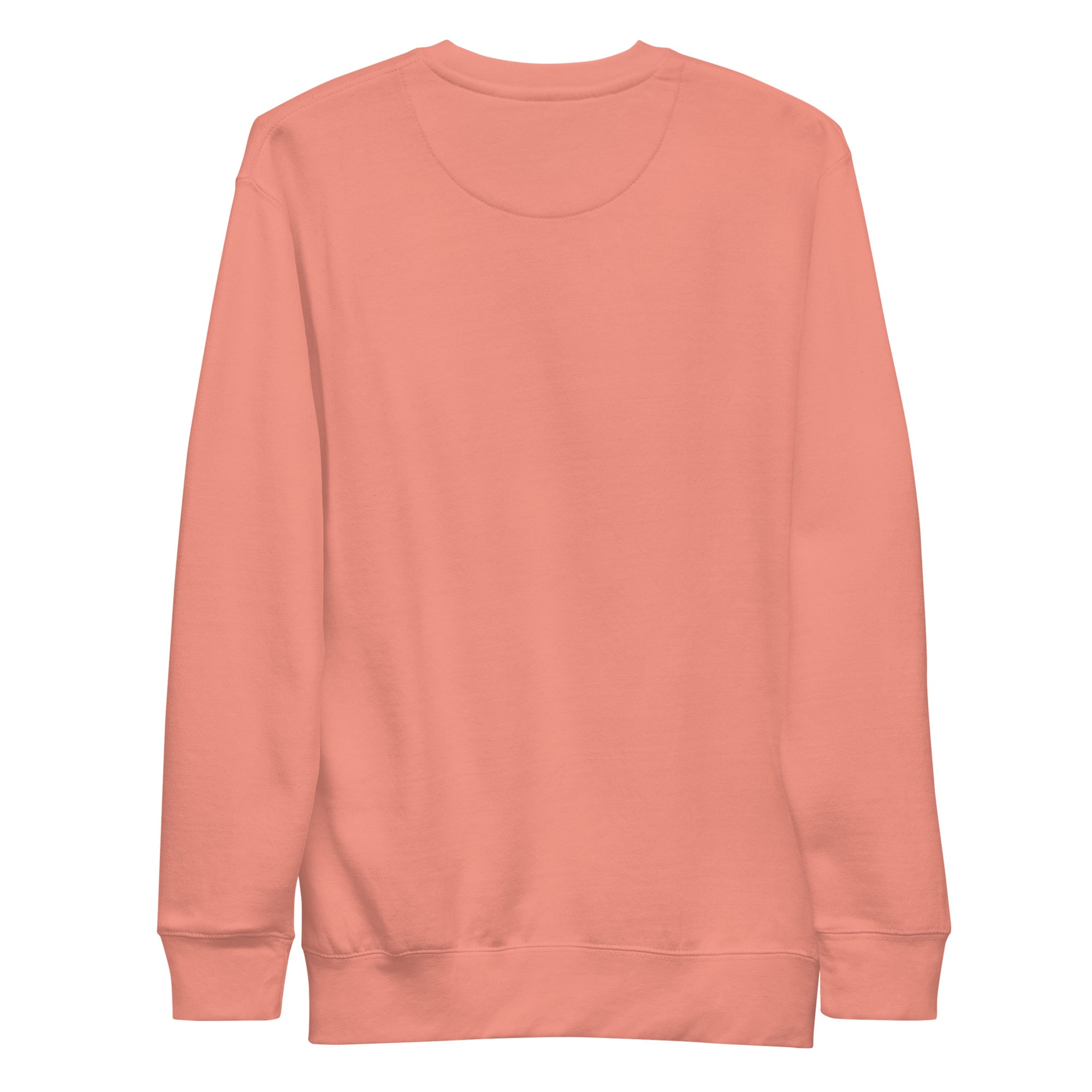 Last Boat Home Crewneck in Dusty Rose with plain back, back view