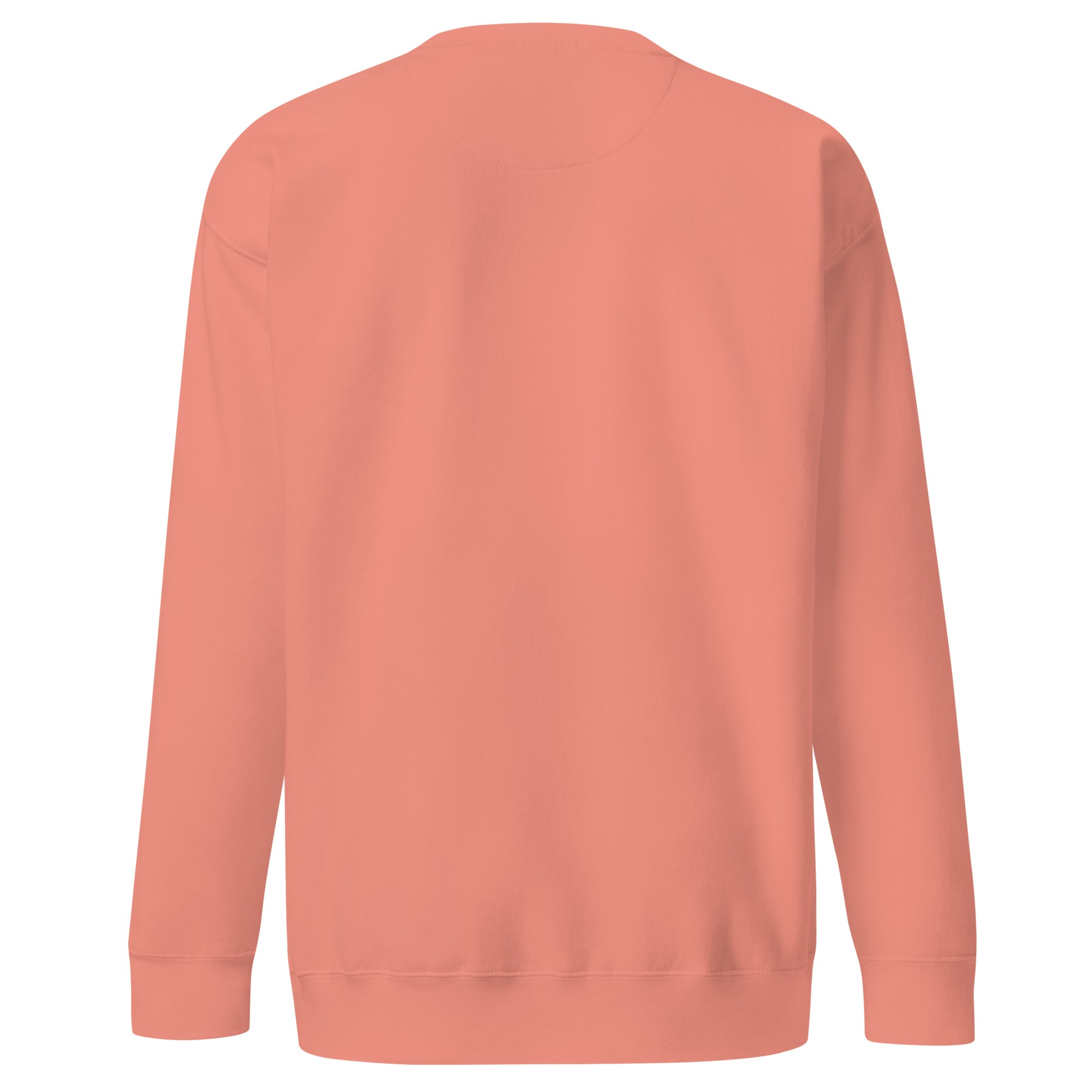 Last Boat Home Crewneck in Dusty Rose with plain back, back view