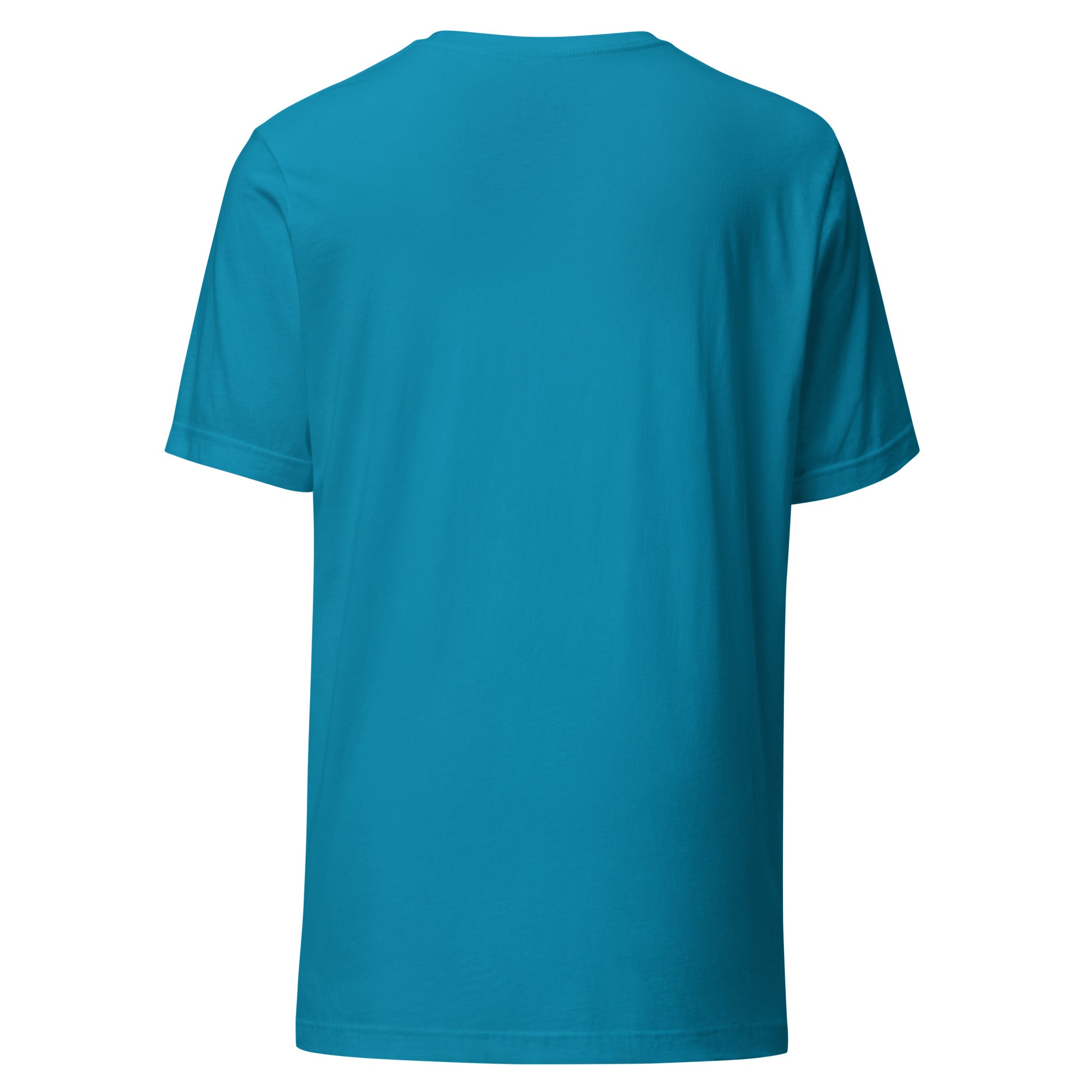 Keep the Red Tee in Aqua with plain back, product-only back view